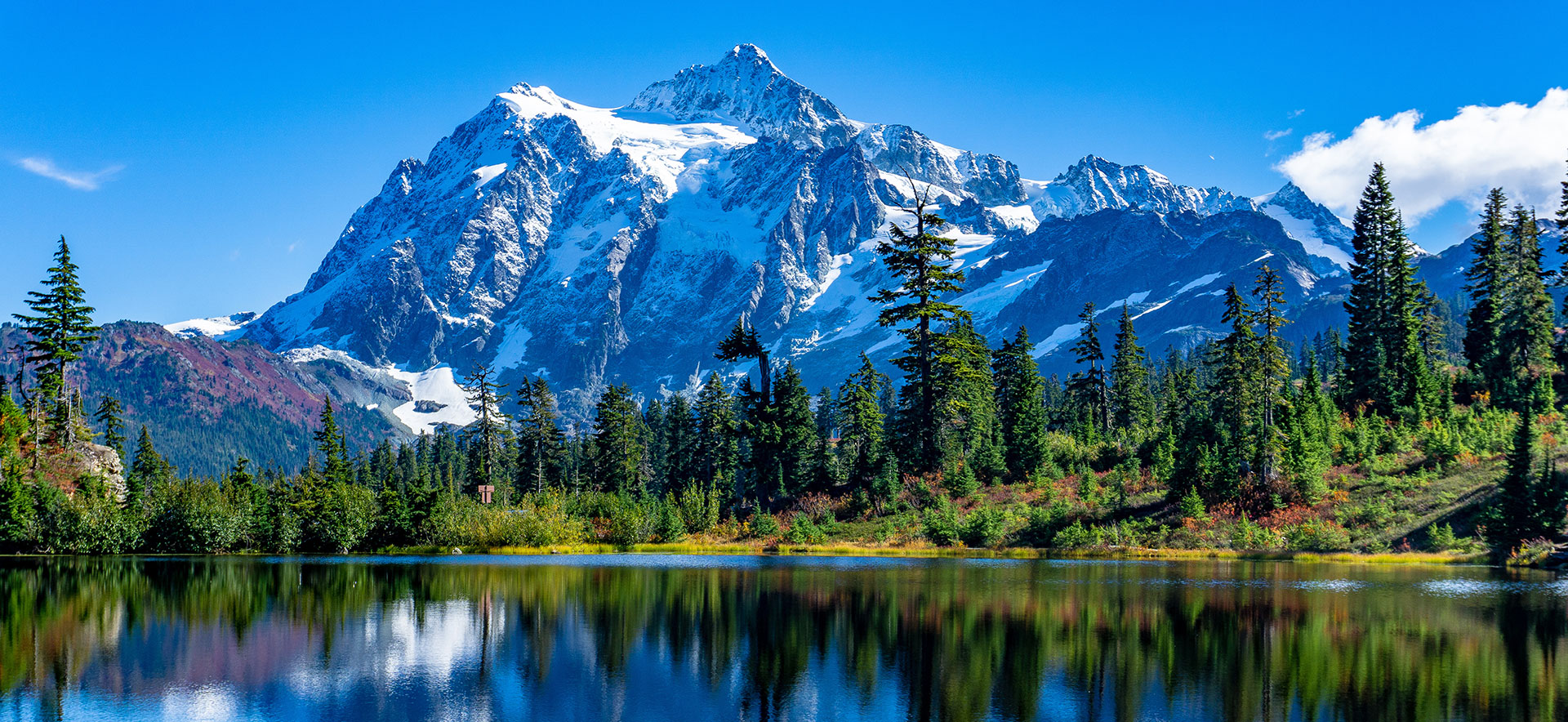 Certified Hypnotherapist in Lawrence