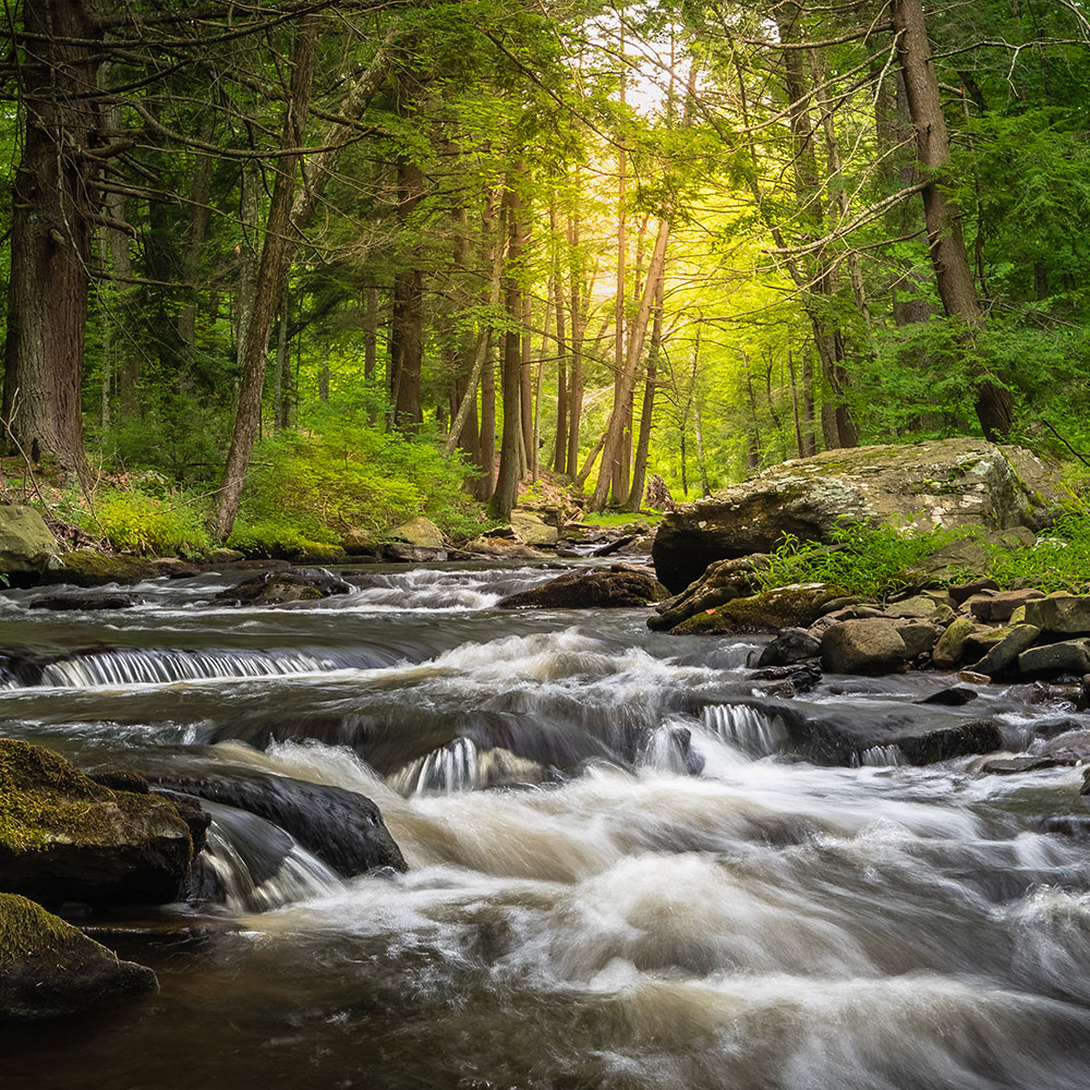 Licensed Therapist in Lawrence